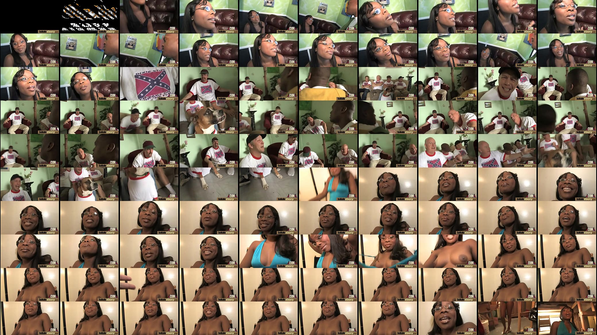 Ebony get fucked by several white dudes 25 预览图