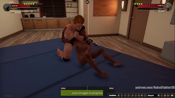 Aisha VS Vilkor (Naked Fighter 3D)