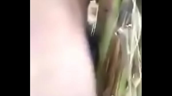 Download Video - VID-20170730-WA0023