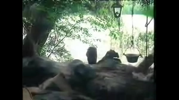 Tarzan. X11