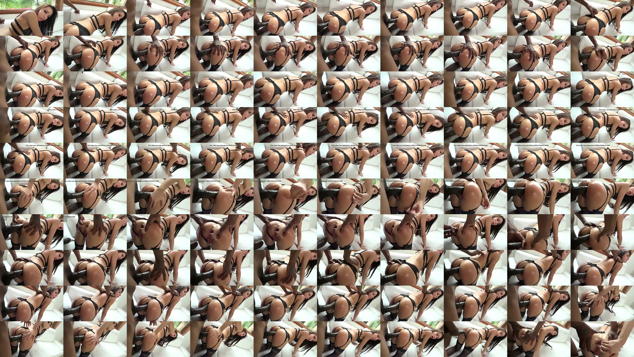 Negros anal 预览图
