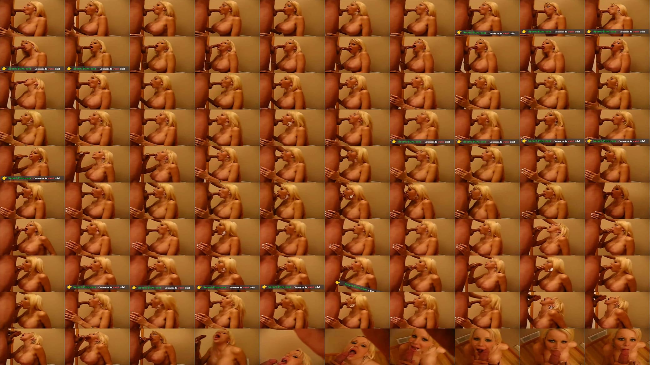 Blonde Whore with silicone tits 预览图