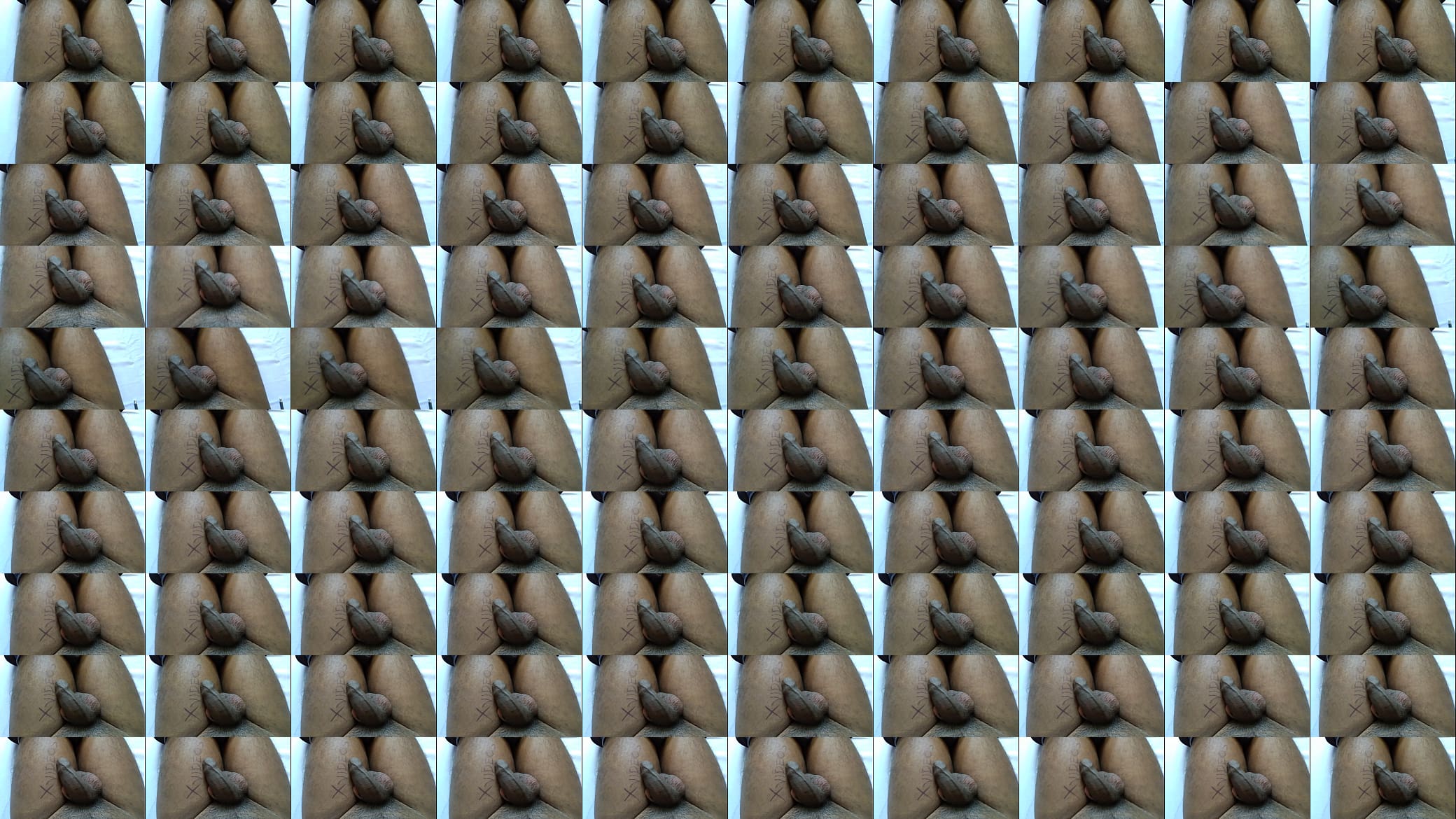 My s. cock 预览图