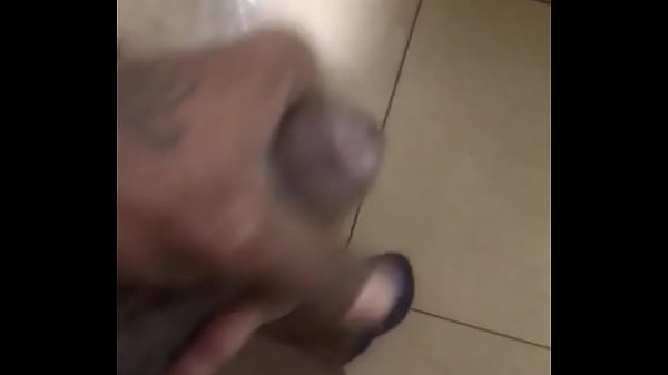 Venez Voir Pinto Bom