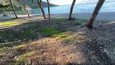 Spend Valentine's Day with me at the Beach!