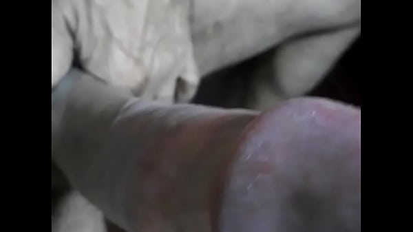 Cnv 6f3e4294e81e23fd4a6cd832c649378d