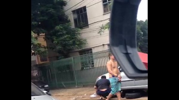 LOIRO DE PAU DURO DURANTE O DIA EM NITERÓI