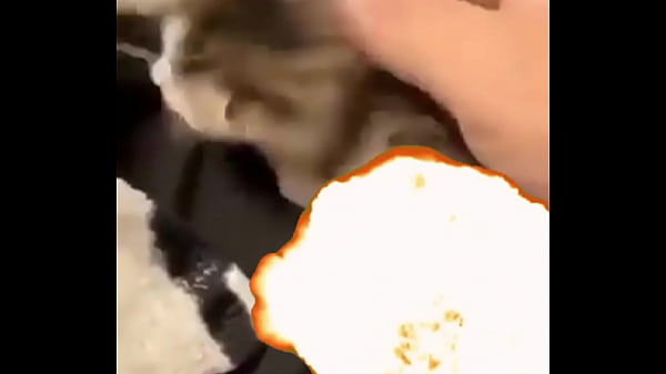 Sexy Vaporeon Squirts Her Juices Everywhere