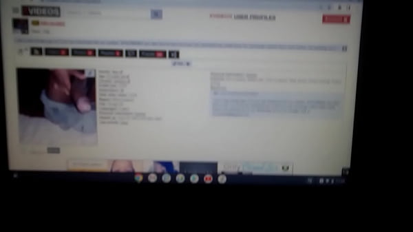 verification xvideos