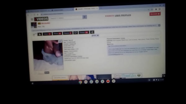 verification xvideos