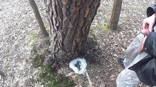 Download Video - boys pissing together a big foamy puddle at a tree