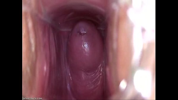 Download Video - Take a look inside