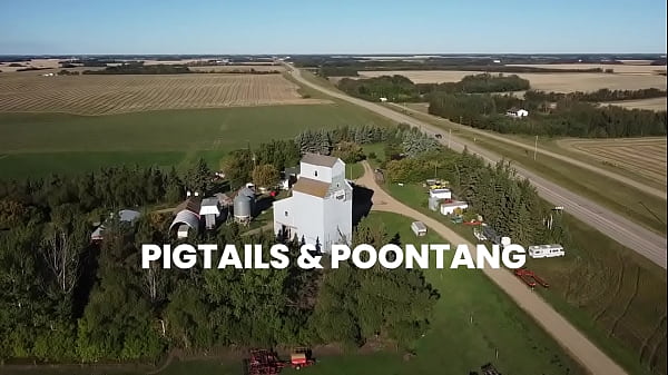 Pigtails & Poontang (with Echoes of Goo)