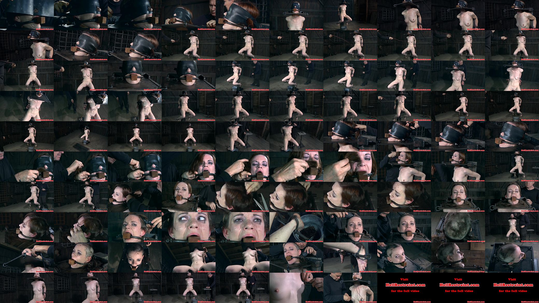 BDSM bondage sub whipped and flogged 预览图