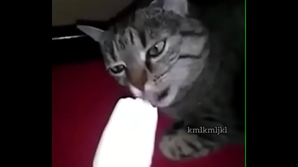 Brain Freeze, Aber Ich Habe Es Von Einer Pornoseite Heruntergeladen