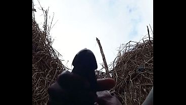 Cheirodmacho - update #2 - 1001069579 - Sep 10, 2026