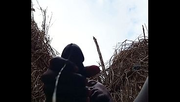 Cheirodmacho - update #2 - 1001069579 - Sep 10, 2026