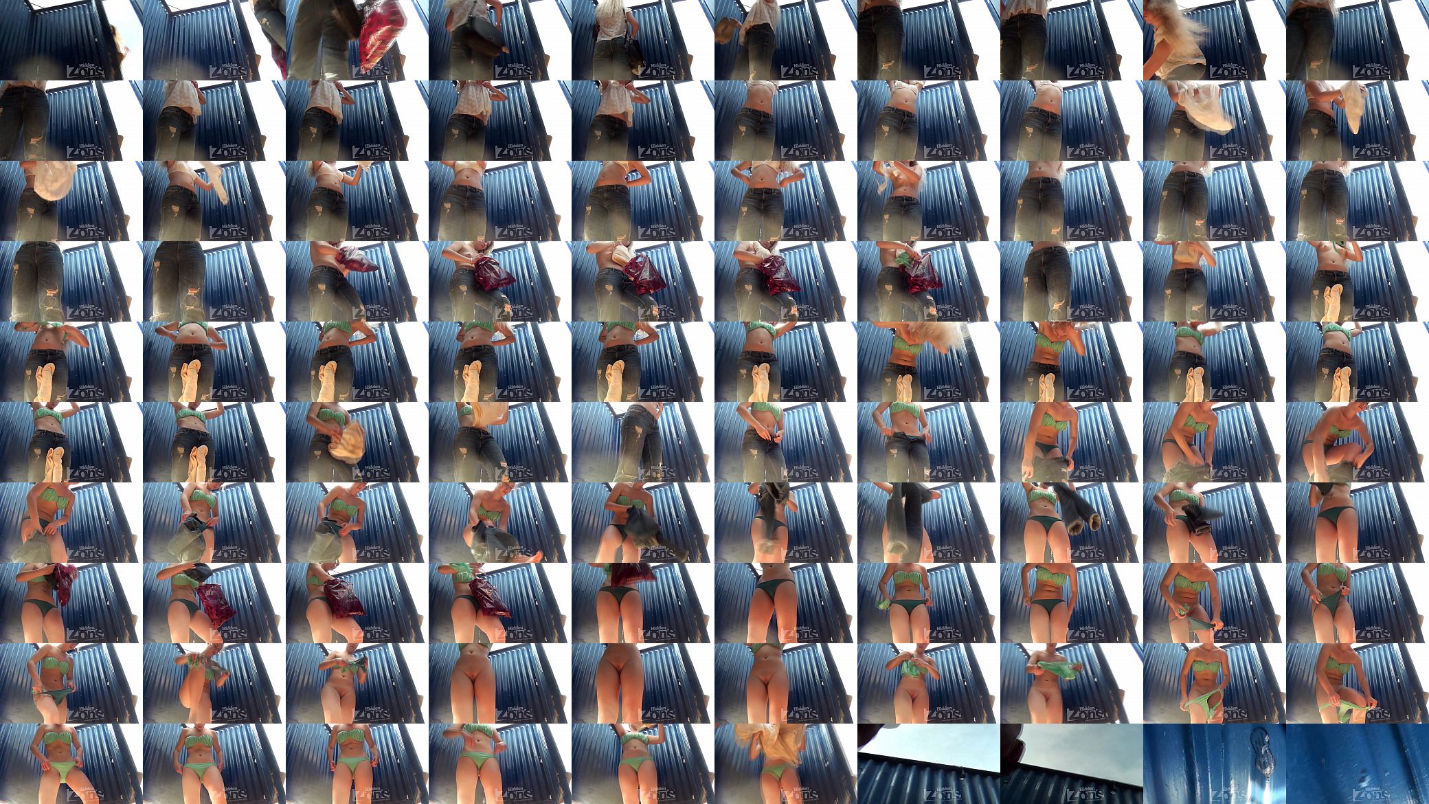 beachcabin spycam 预览图