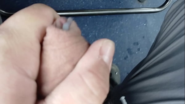 No &ocirc;nibus