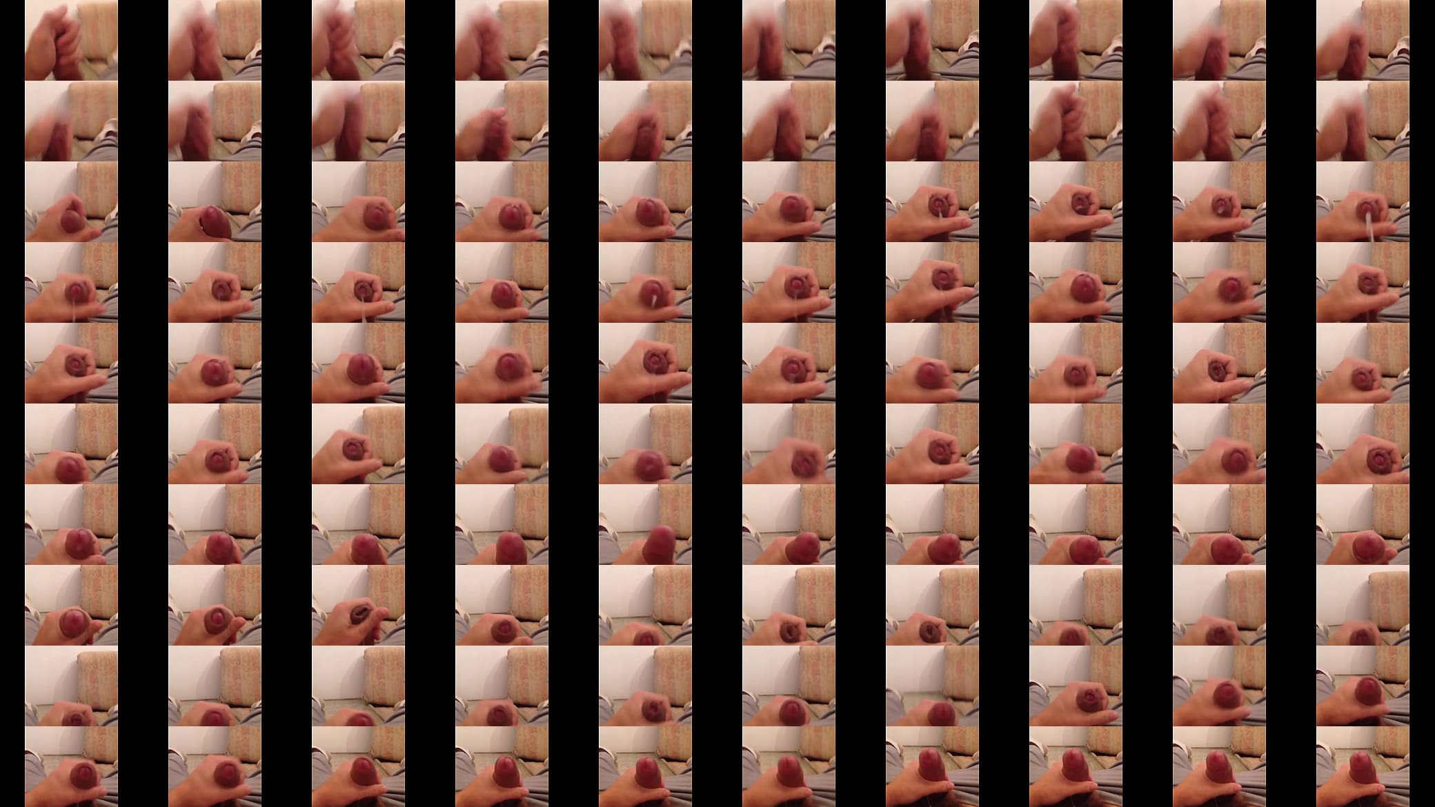 Paja solo 预览图
