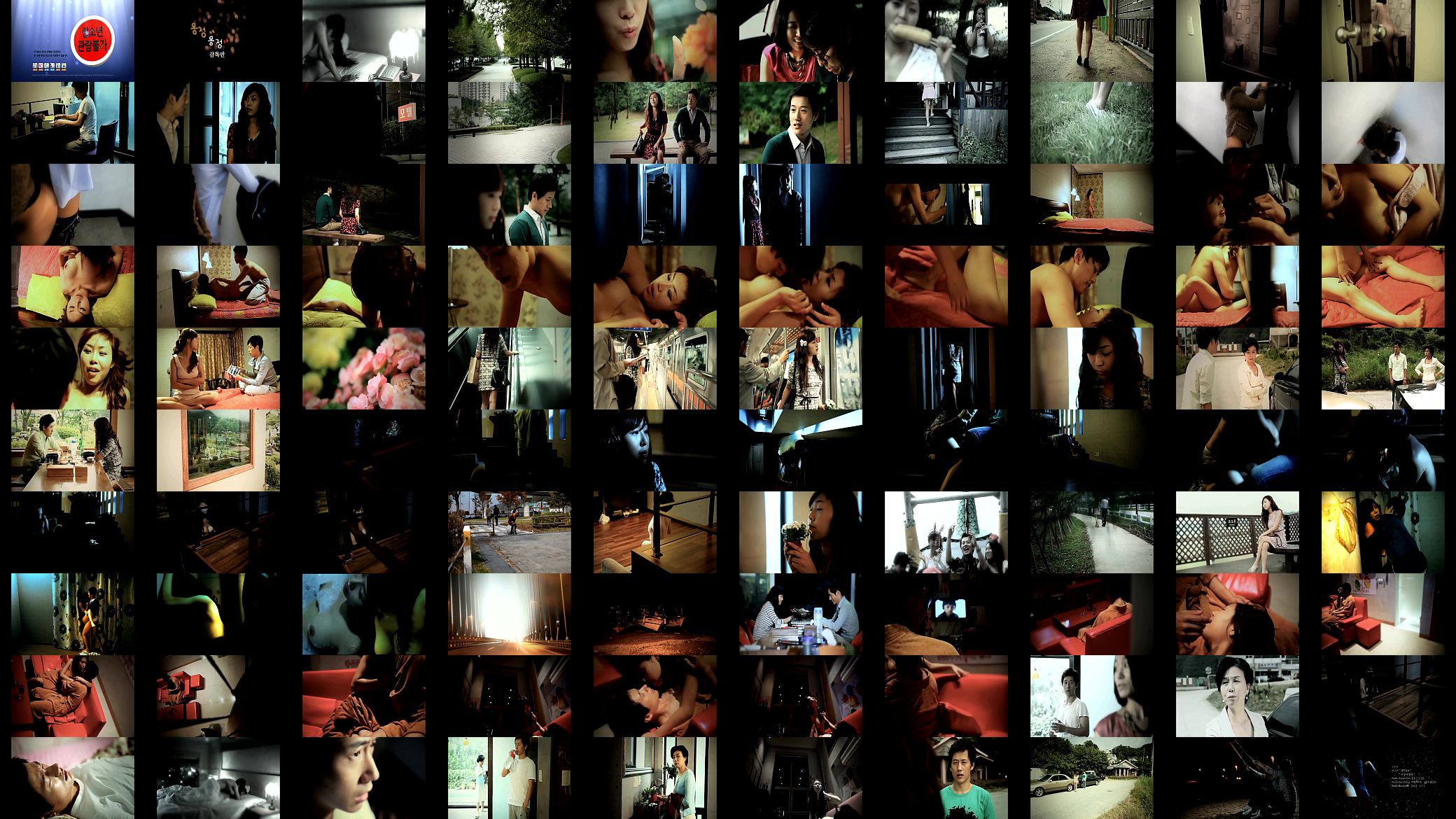 Dream Affection (2011) 预览图
