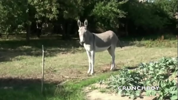 young arab boiy fucked outdoor by gay