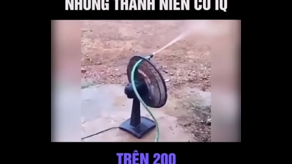 Vidéo De Vérification