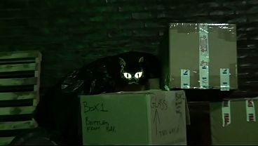 Claudia Rossi Likes Dick In Her Purring Butt Hole As Her Friend Gets Fucked Too