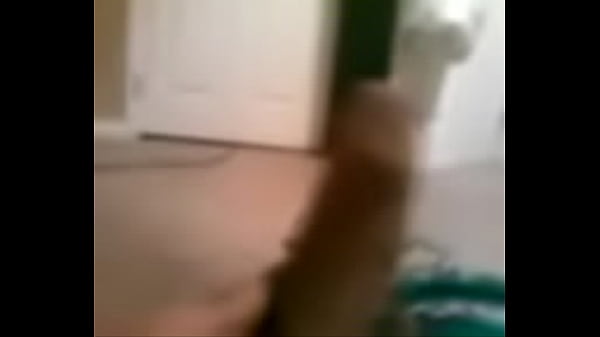 VID 20121009 235344