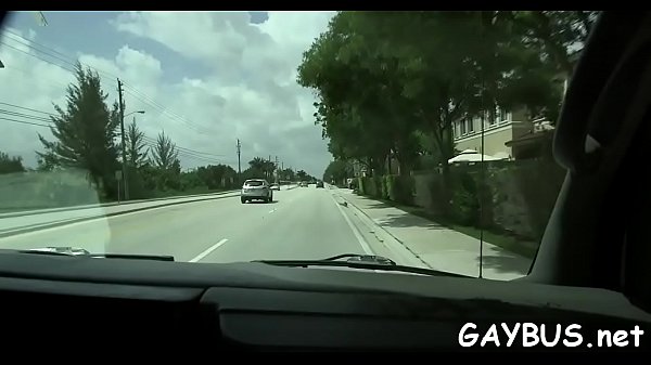 Porn homosexual studs