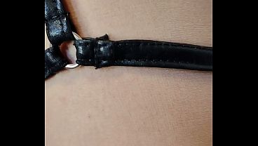RATING A FAN'S DICK