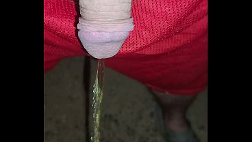Nighttime pee in front yard