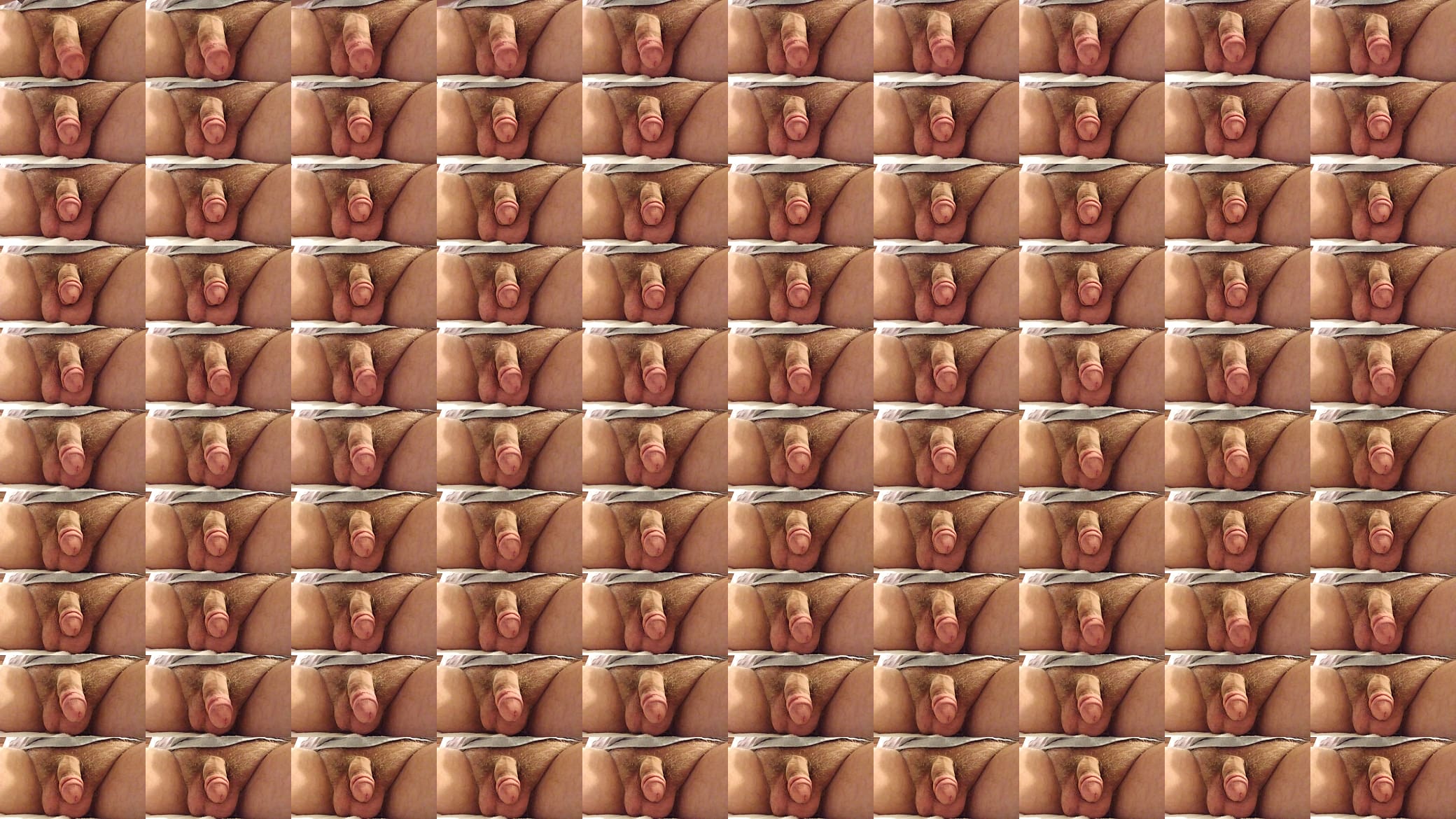Sitting Penis 13 预览图