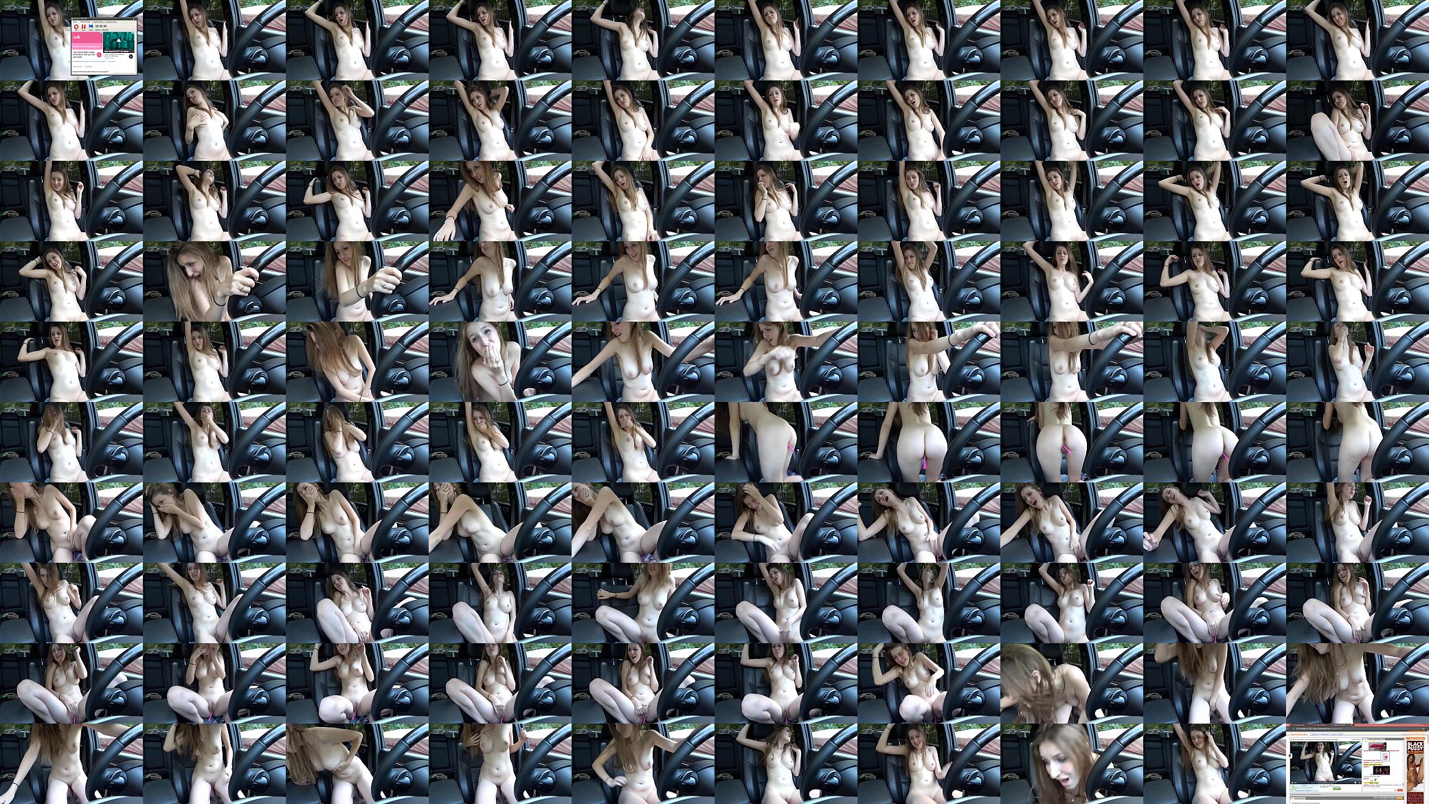 Masturbating in the car 预览图