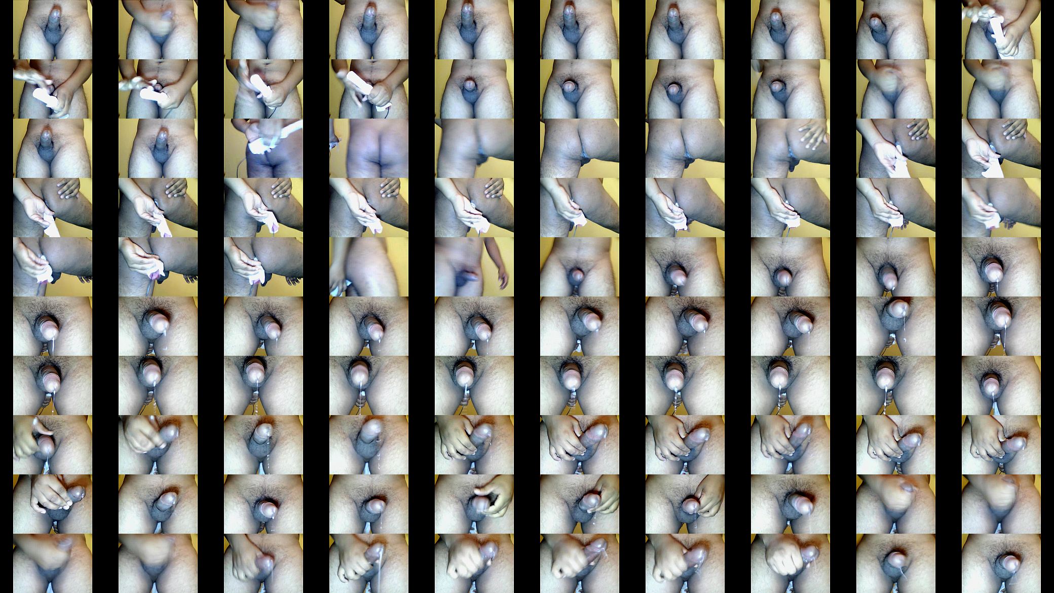prostata 3 预览图