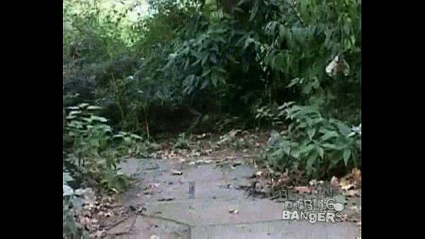 Bang the Bitch on the Bench by letat