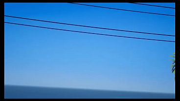 Scoobu-doo Trailer
