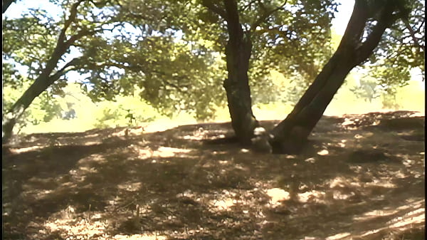 Brittney Skye goes down this chick and sucks on her cunt while she rests against a tree as...