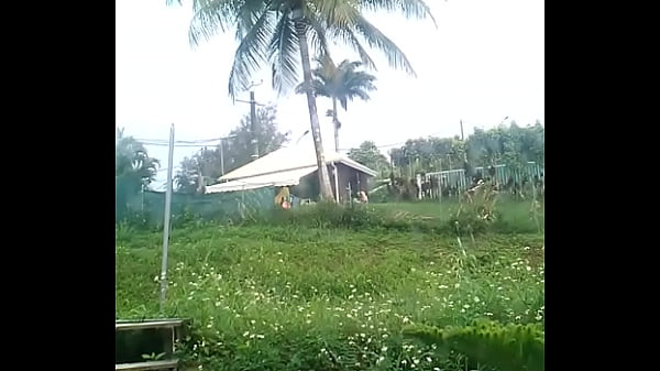 Th&eacute; tits officiel my neighbour