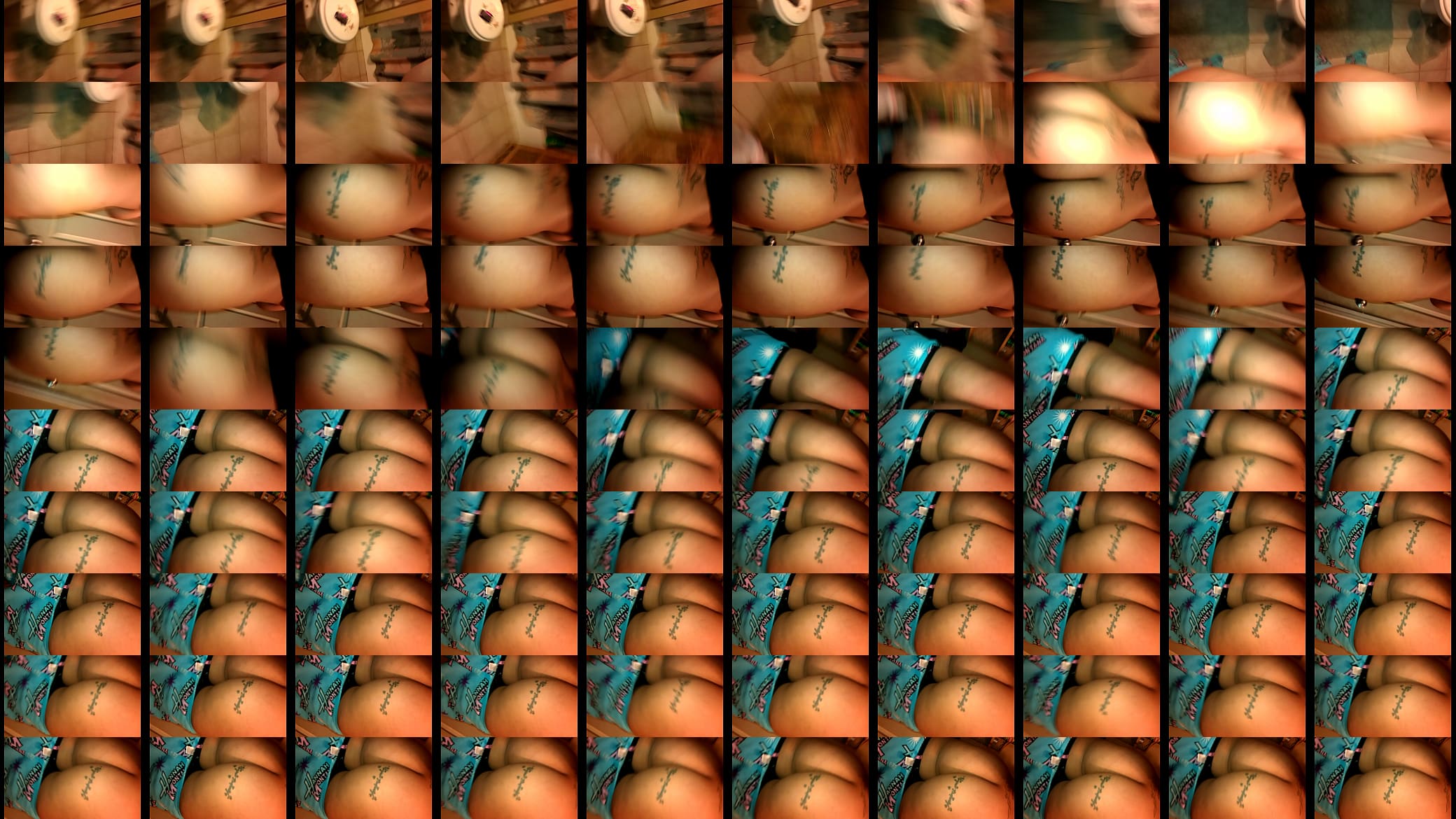 VIDEO0011 预览图