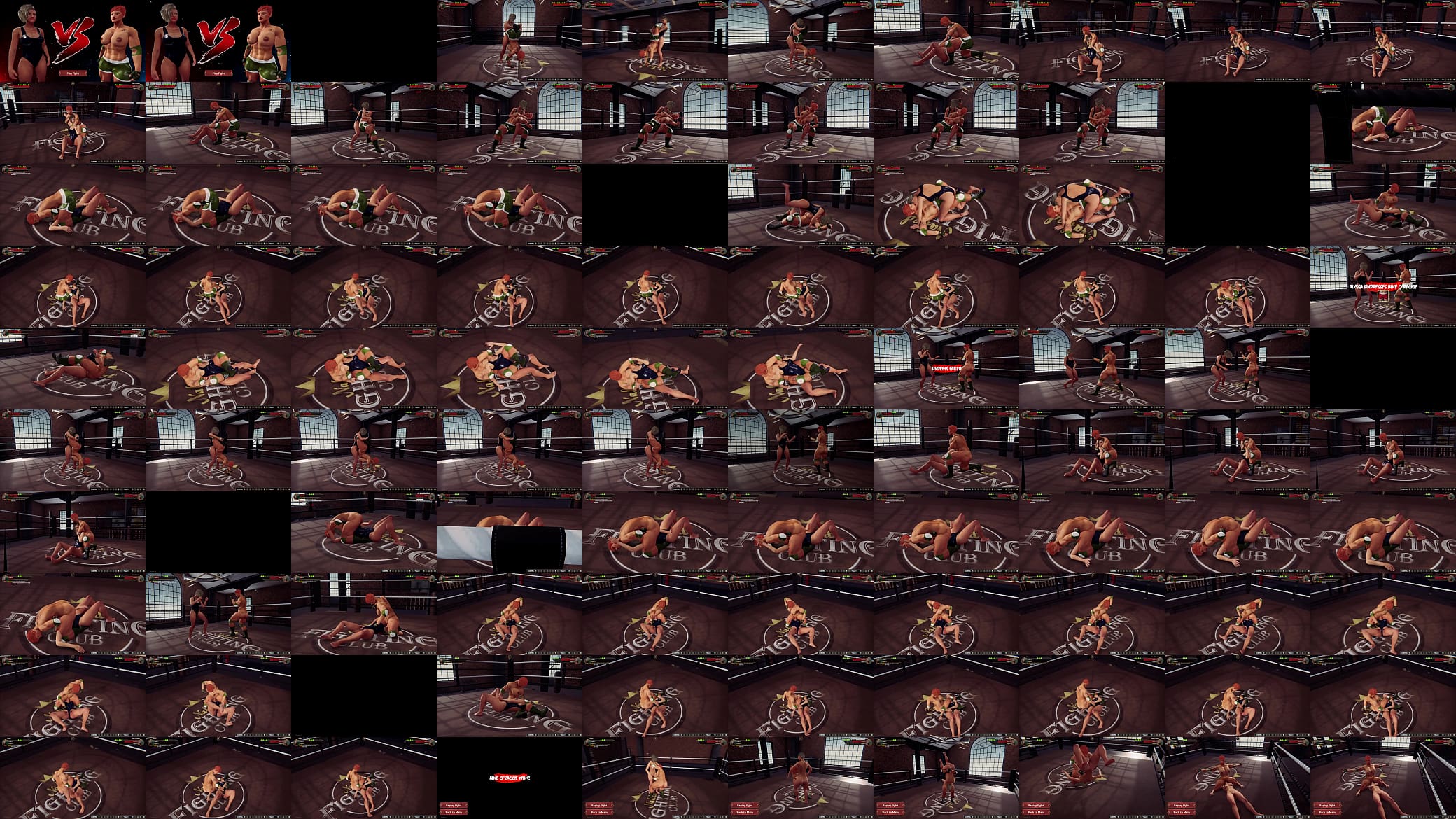 Alyssa VS Aine O&#039;Rackie (Naked Fighter 3D) 预览图