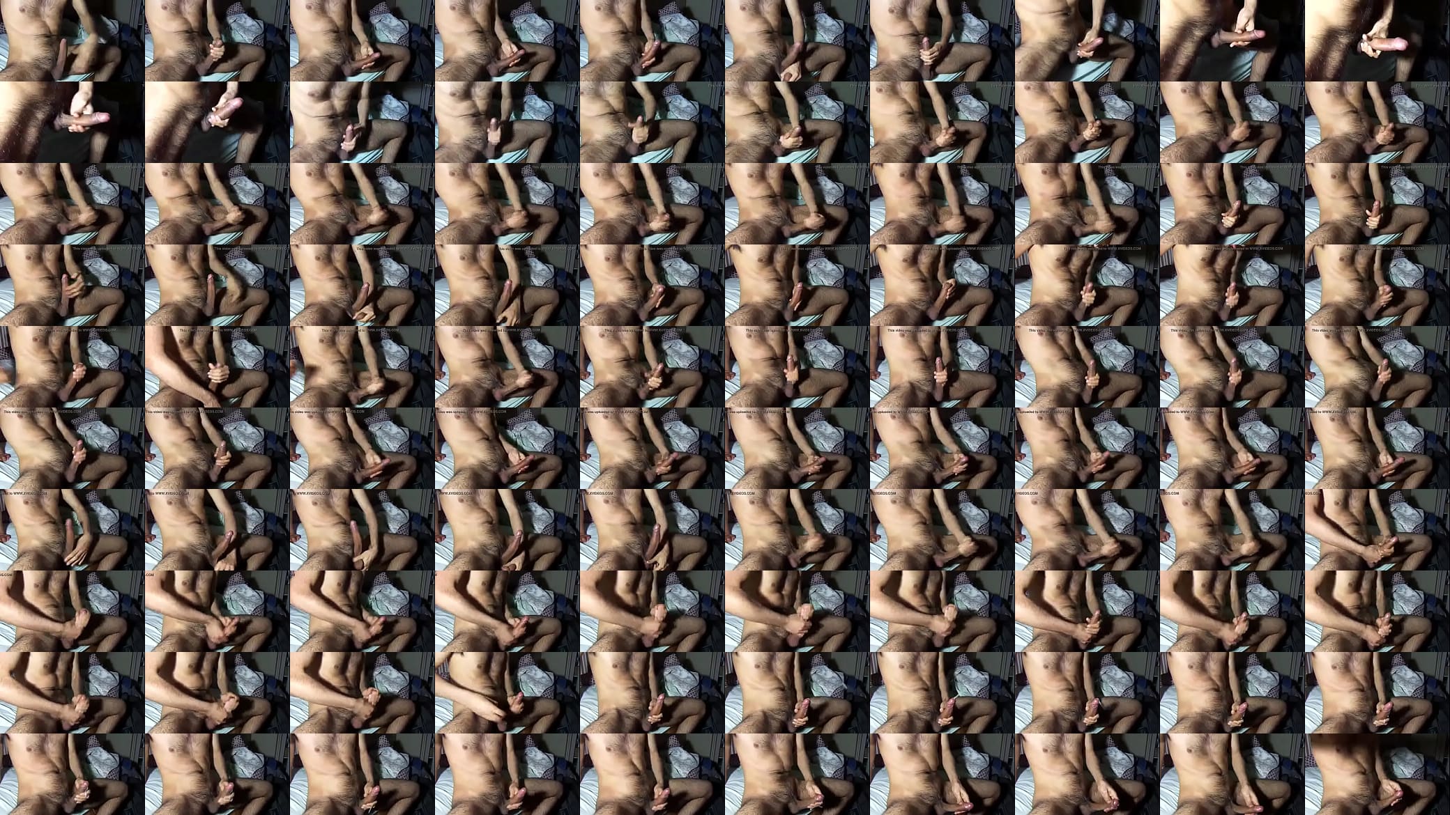 gozada fenomenal 预览图