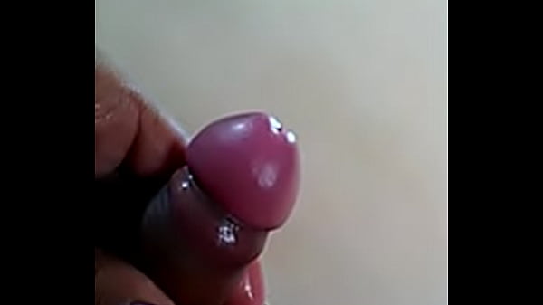 my cock
