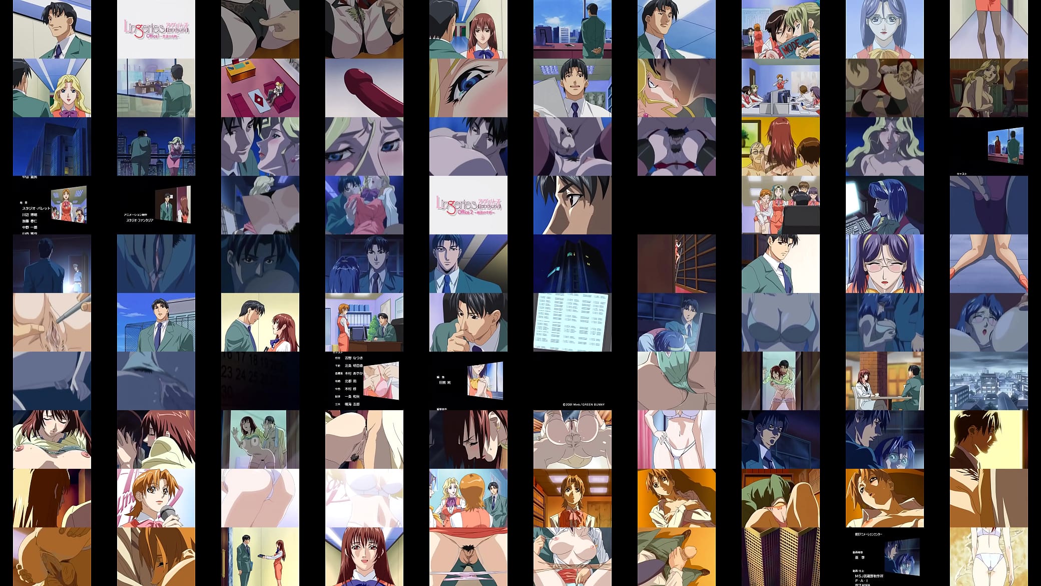 Lingerie office full 预览图