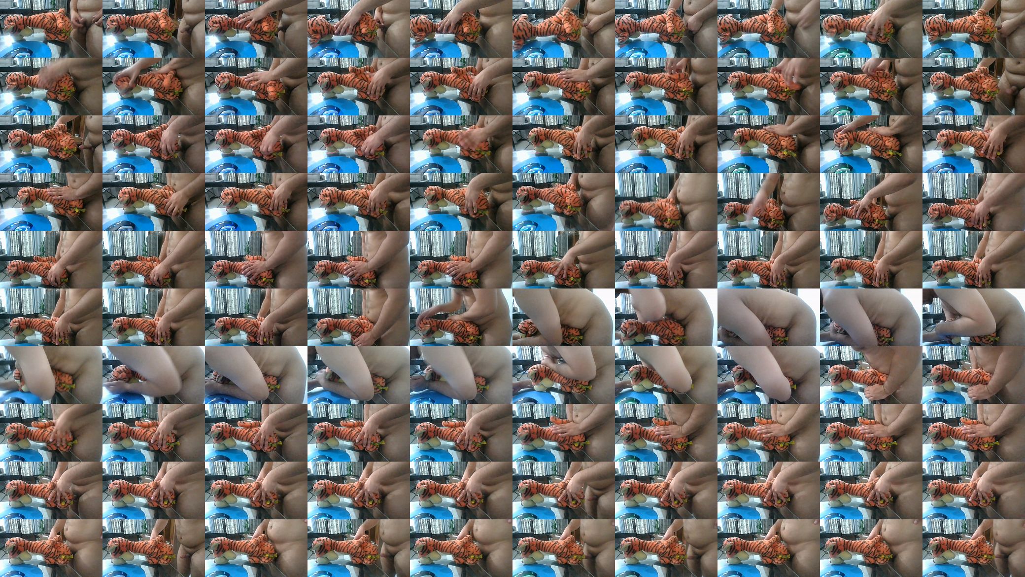 Crazy sex with stuffed a. 预览图