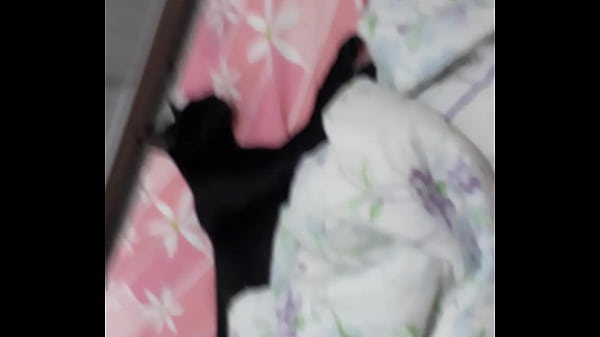 Baise Yummy Dans La Cuisine Nordestina Naughty Pendant Que Le Chat Noir Dort