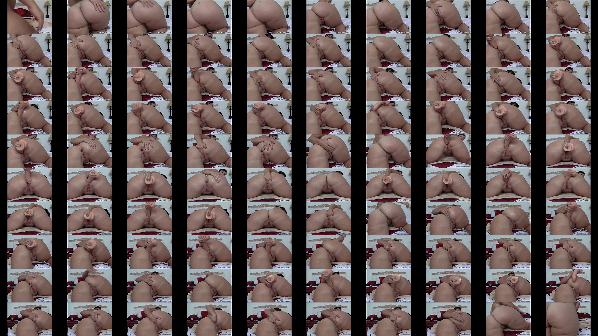 Chubby cam girl dildoing her ass 预览图
