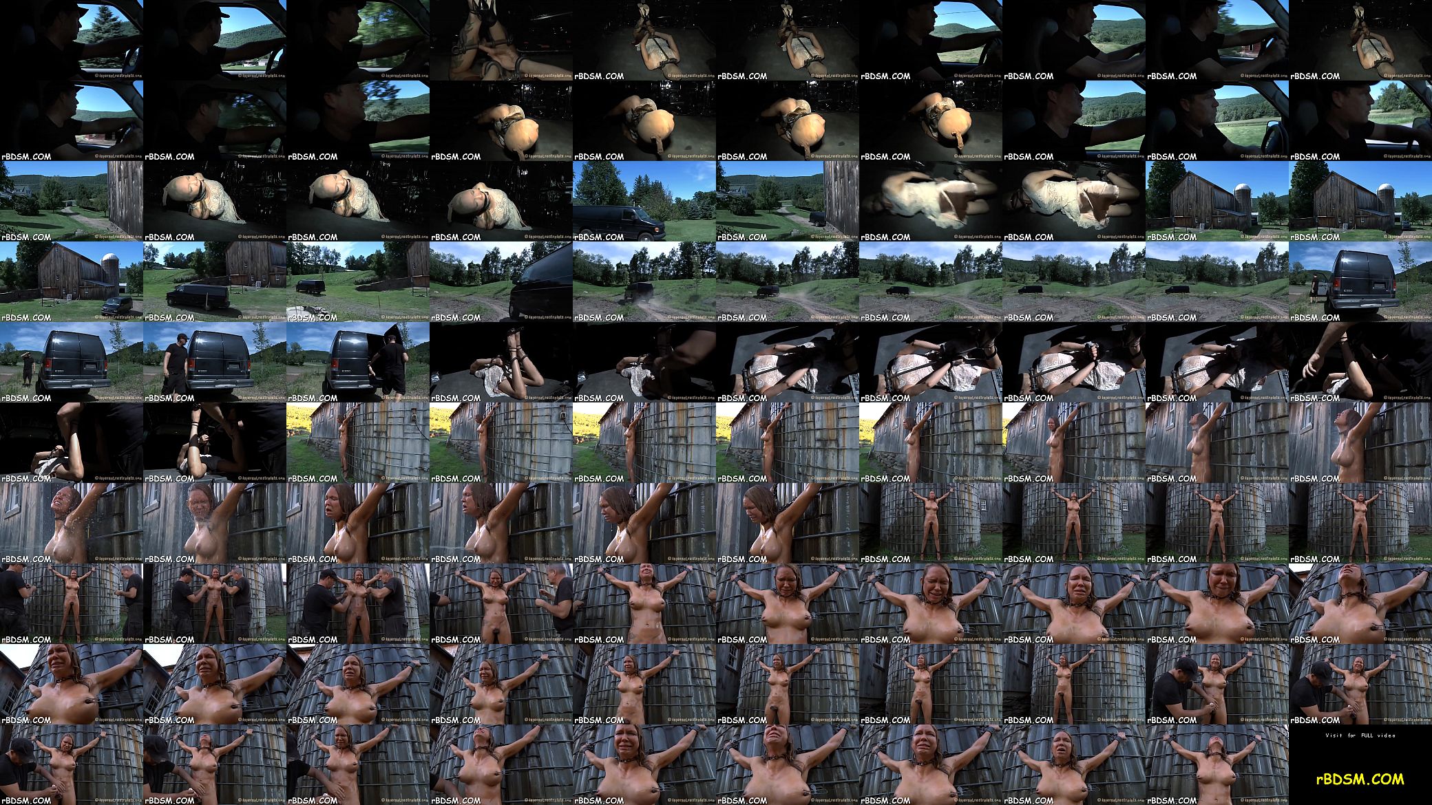 Sadomasochism hardcore porn 预览图