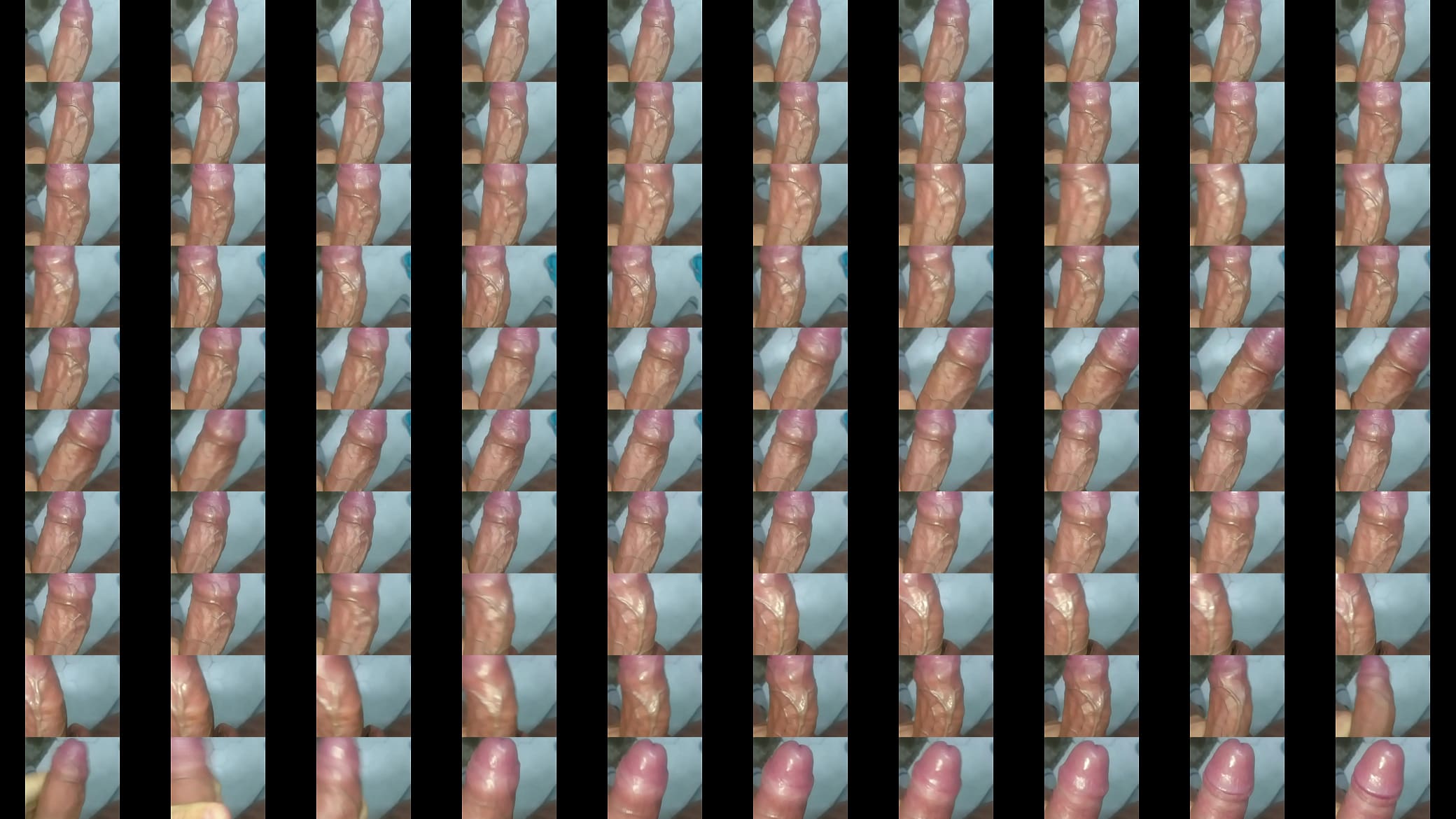 Mi verga venuda, Que les parece? 预览图