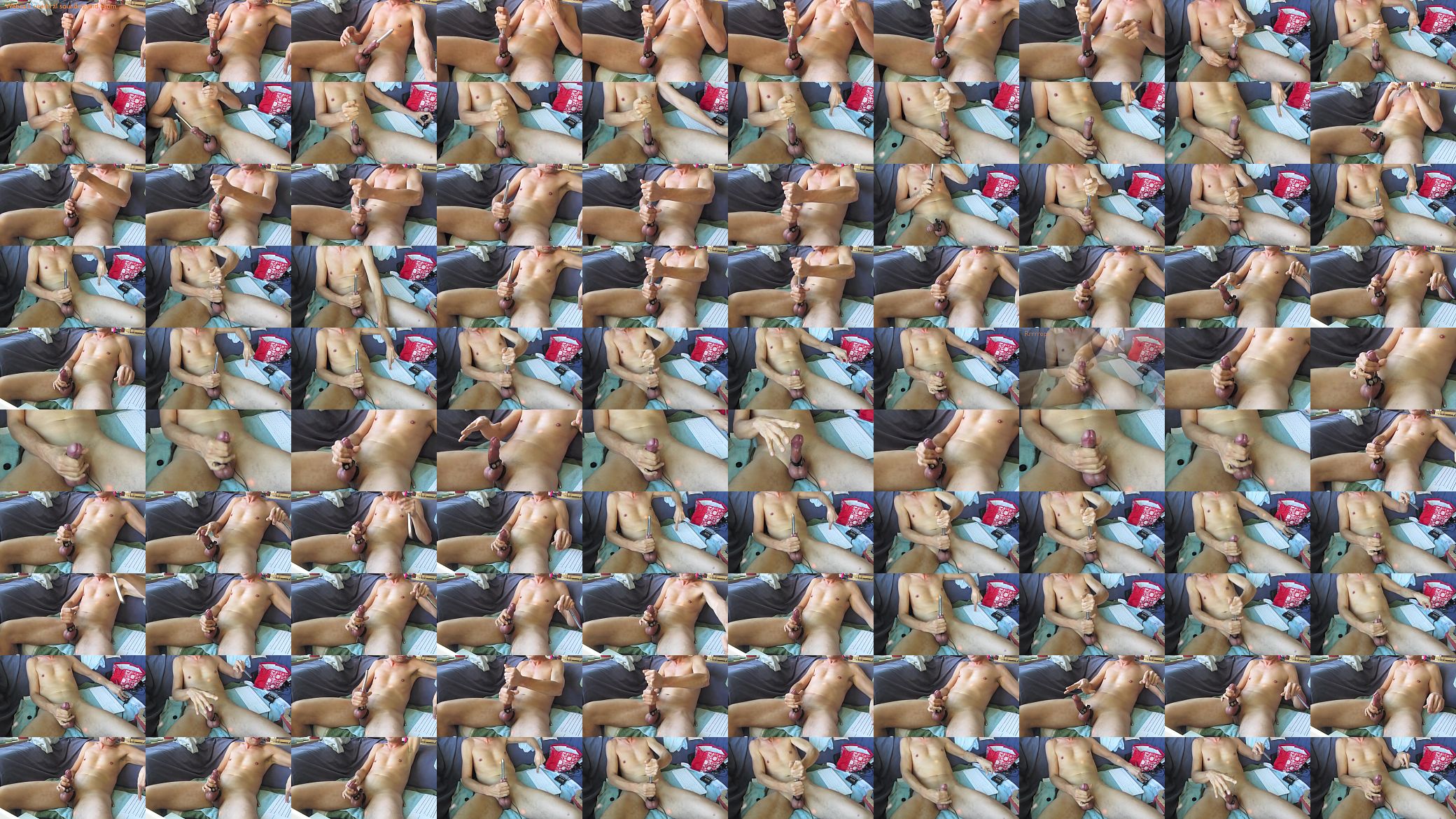 Urethral sounding and estim on webcam/ 预览图